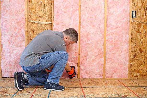 Best Wall Insulation Installation  in Ottawa, OH